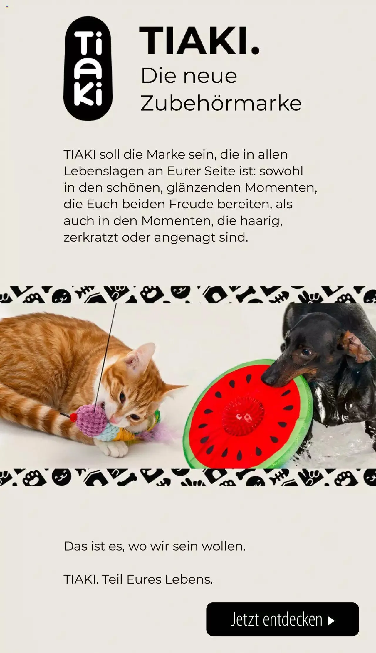 Volantino Zooplus da 1 luglio a 31 agosto di 2023 - Pagina del volantino 39