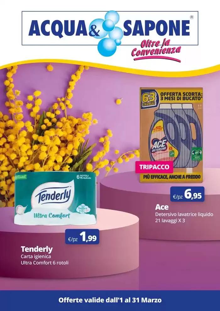 Offerte valide dall'1 al 31 Marzo da 3 marzo a 31 marzo di 2025 - Pagina del volantino 1