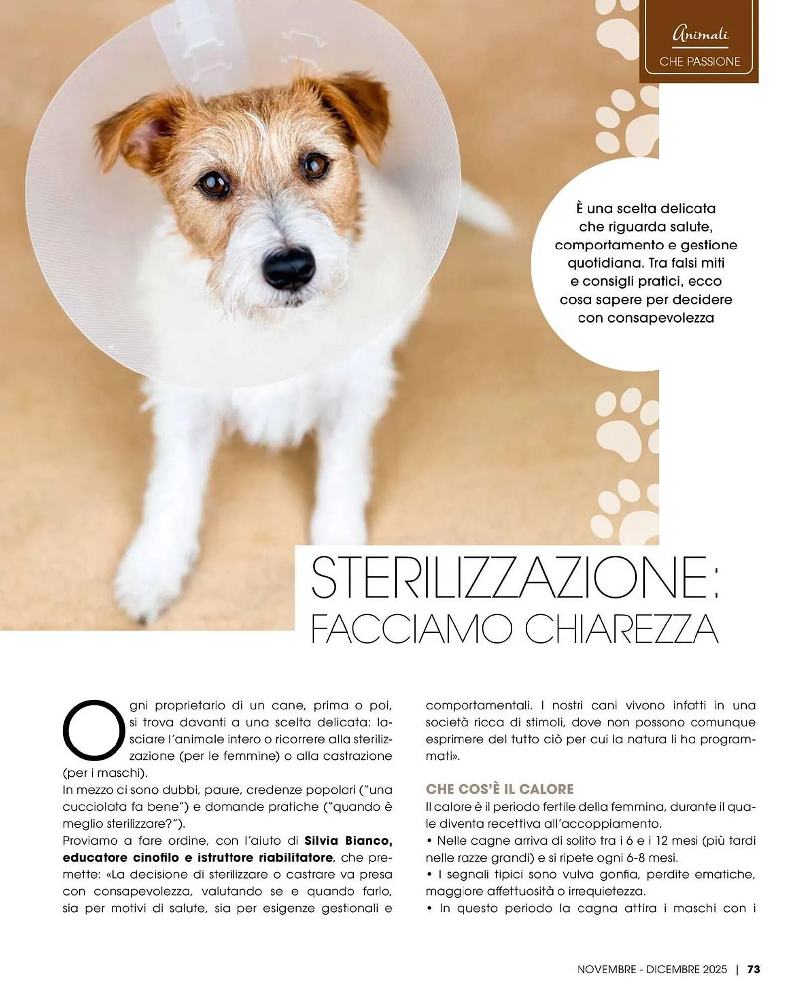 Volantino A&O da 1 novembre a 31 dicembre di 2025 - Pagina del volantino 74