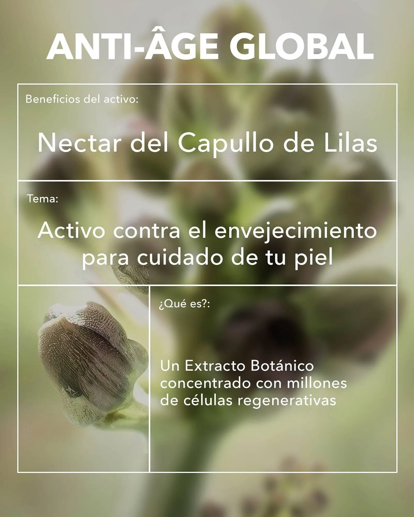 Catálogo Yves Rocher - 1