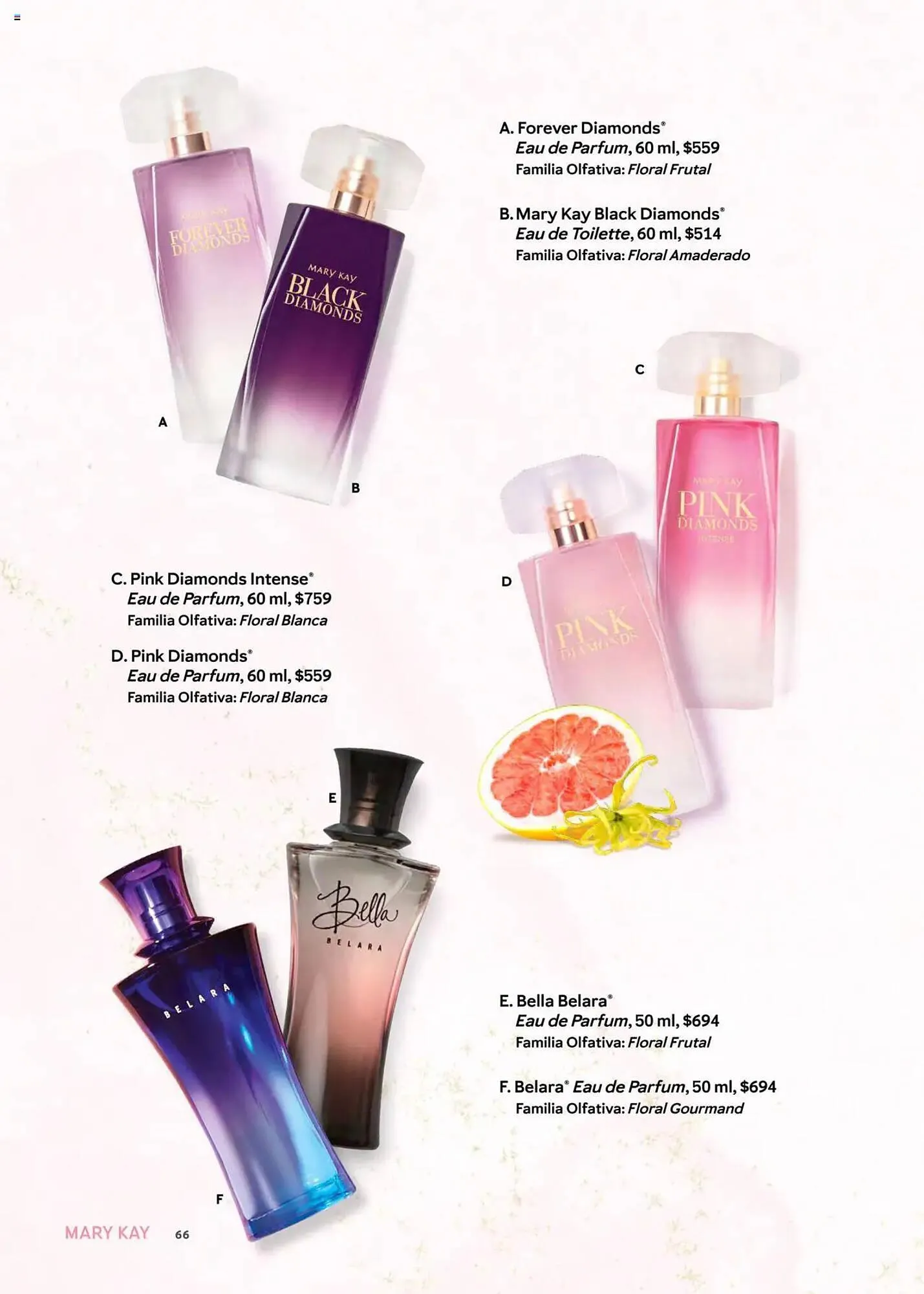 Catálogo de Catálogo Mary Kay 1 de marzo al 30 de abril 2025 - Pagina 66
