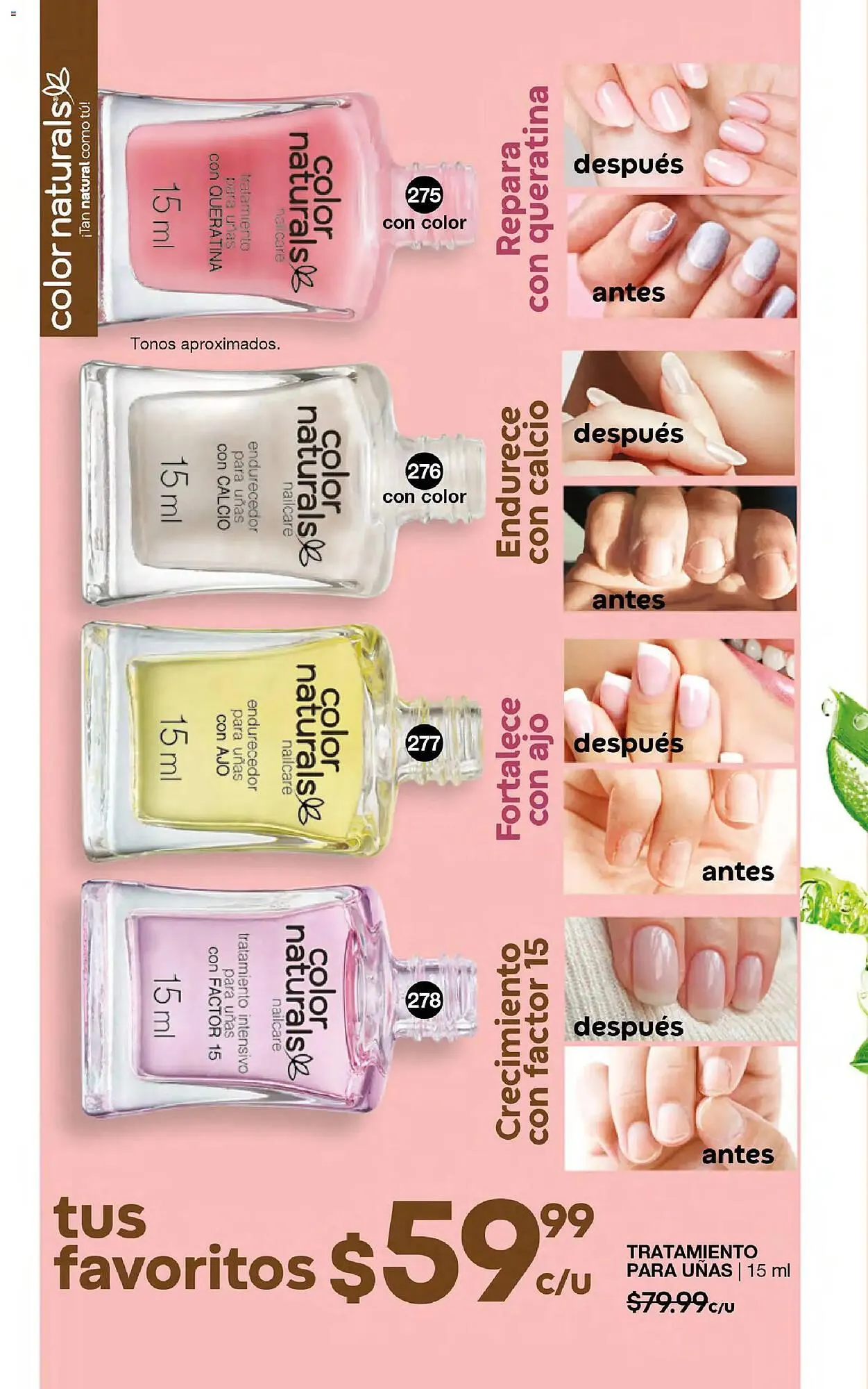 Catálogo de Catálogo Fuller 10 de diciembre al 31 de diciembre 2025 - Pagina 127