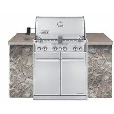 ASADOR GAS SUMMIT S460 EMPOTRABLE