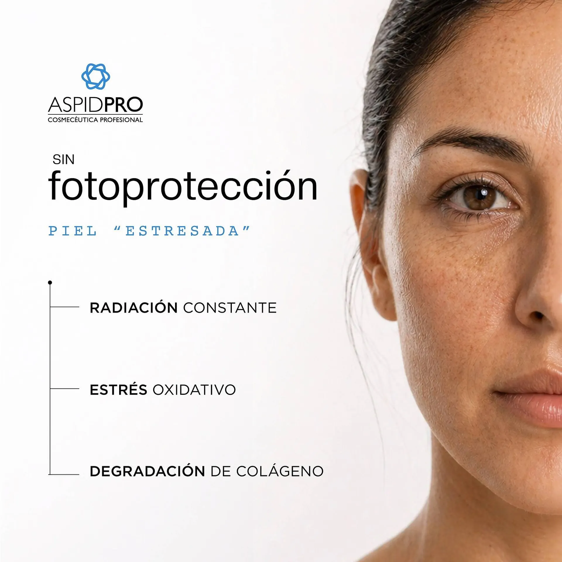 Catálogo de Catálogo AspidPro 4 de mayo al 24 de mayo 2026 - Pagina 2