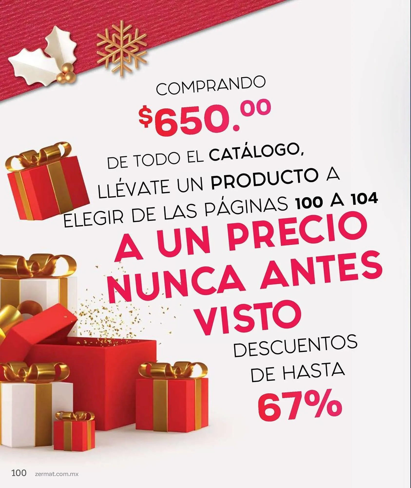 Catálogo de Catálogo Zermat 4 de diciembre al 31 de diciembre 2023 - Pagina 100