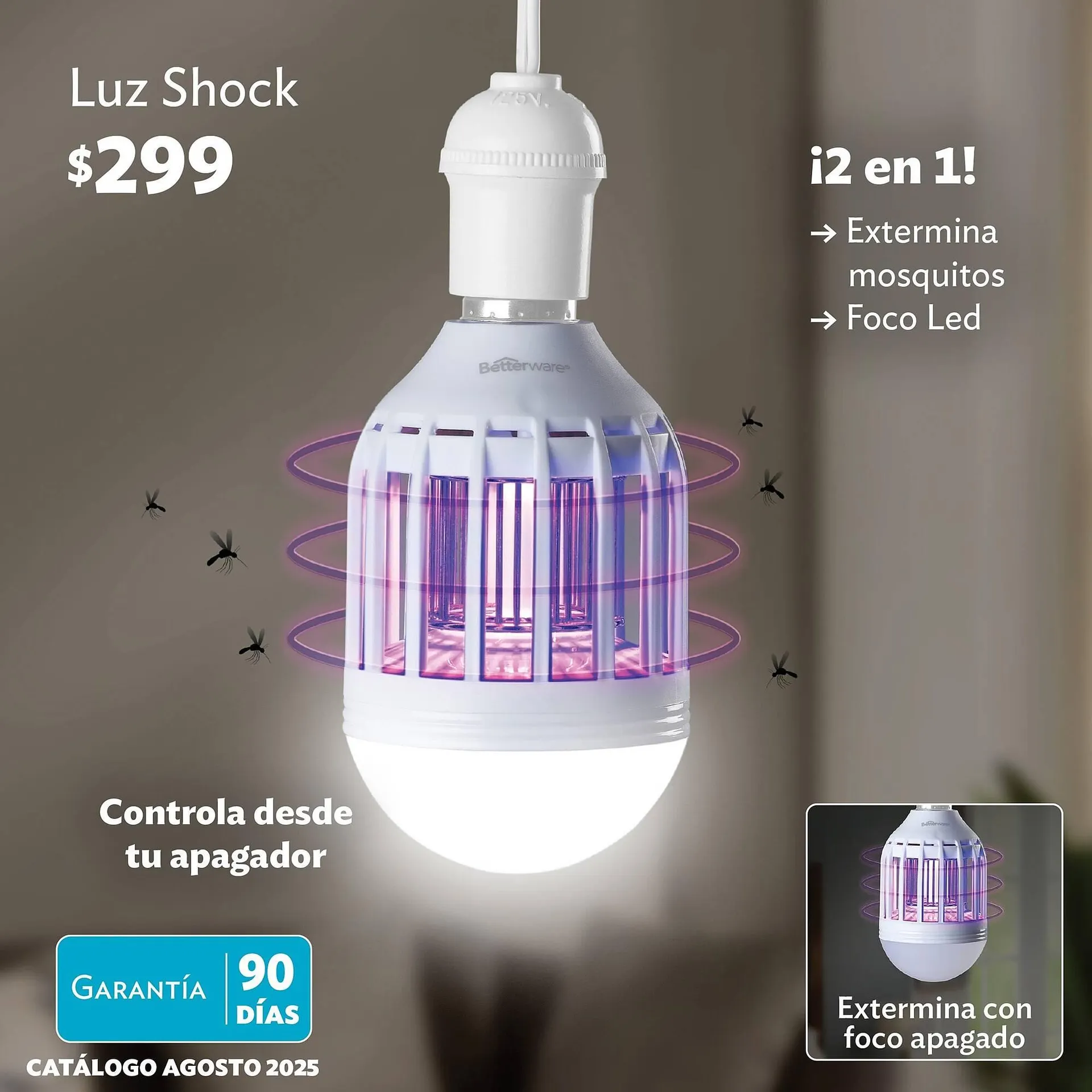 Catálogo de Catálogo BetterWare 21 de agosto al 31 de agosto 2025 - Pagina 3