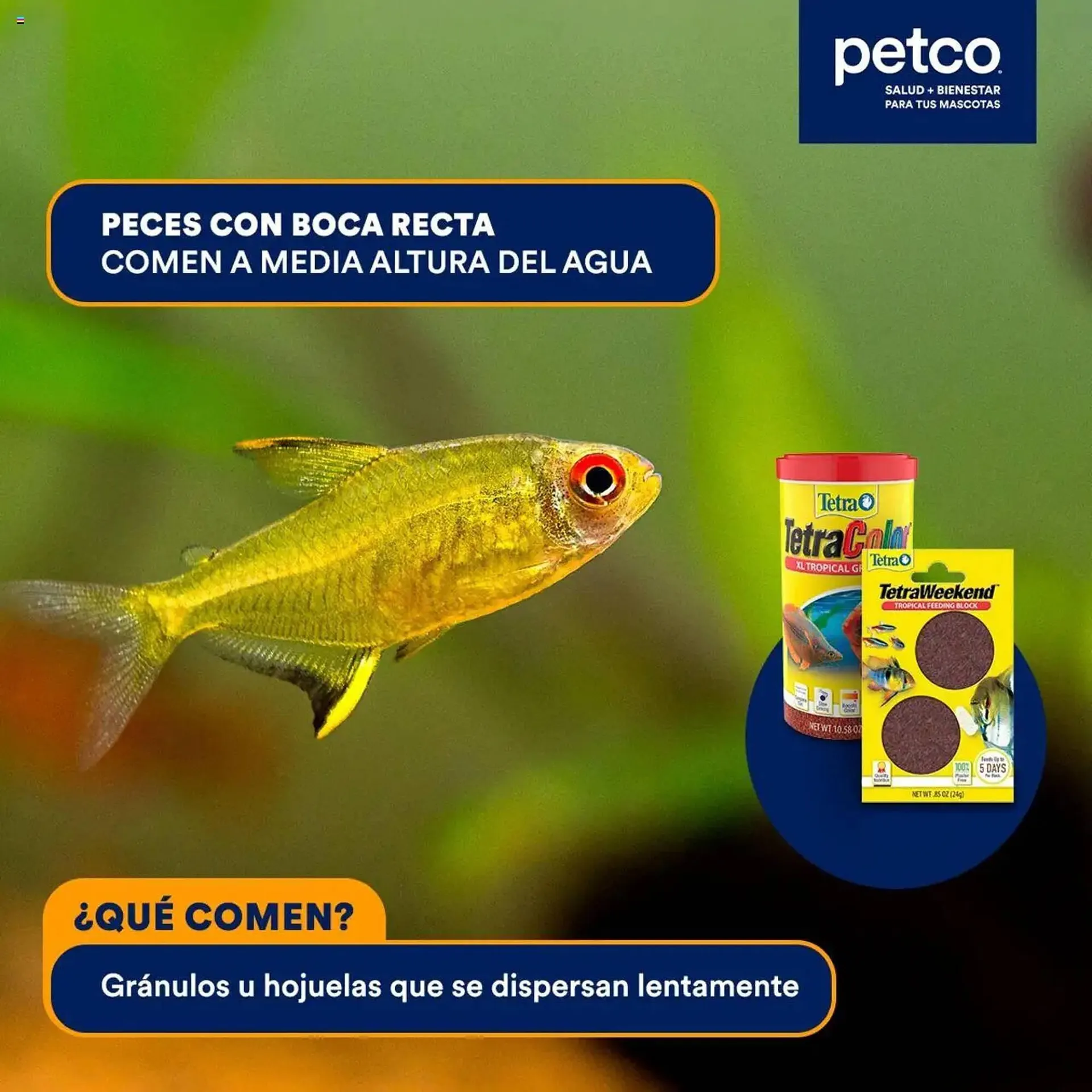 Catálogo de Catálogo Petco 30 de mayo al 14 de junio 2025 - Pagina 3