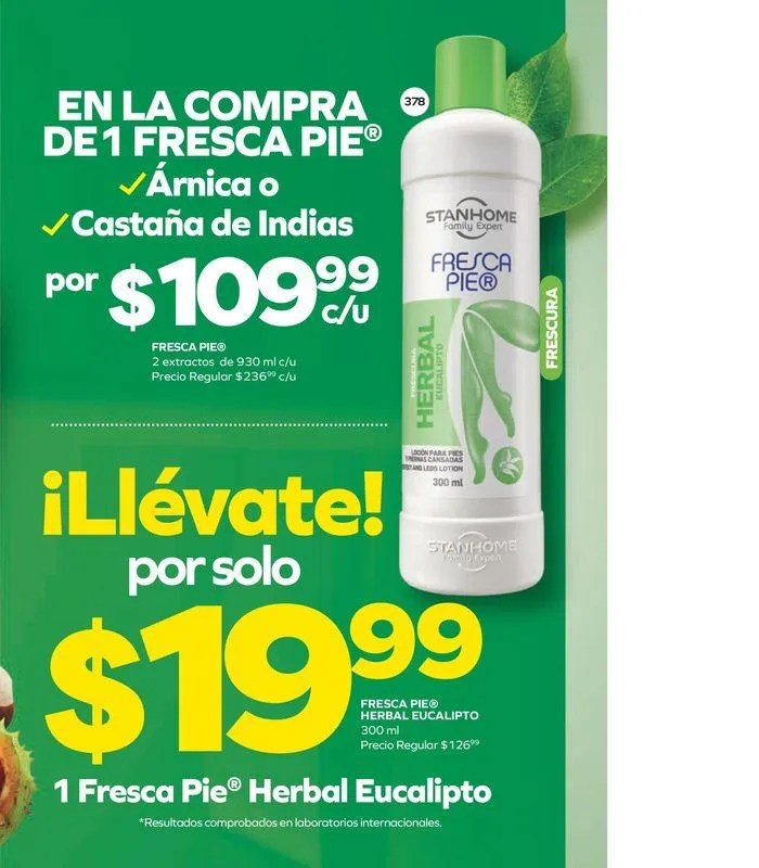 Catálogo de Stanhome - C14 3 de septiembre al 20 de septiembre 2024 - Pagina 171