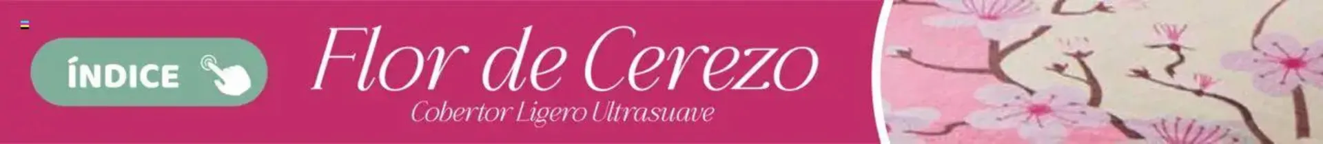 Catálogo de Catálogo Colchas Concord 1 de agosto al 1 de noviembre 2025 - Pagina 886