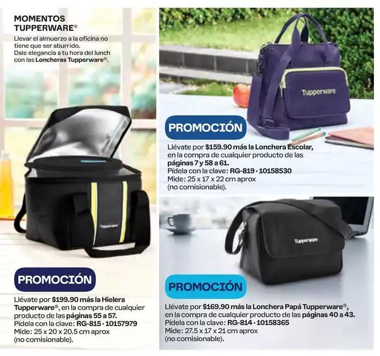 Catálogo de Tupper Tips 14 15 de octubre al 10 de noviembre 2024 - Pagina 54