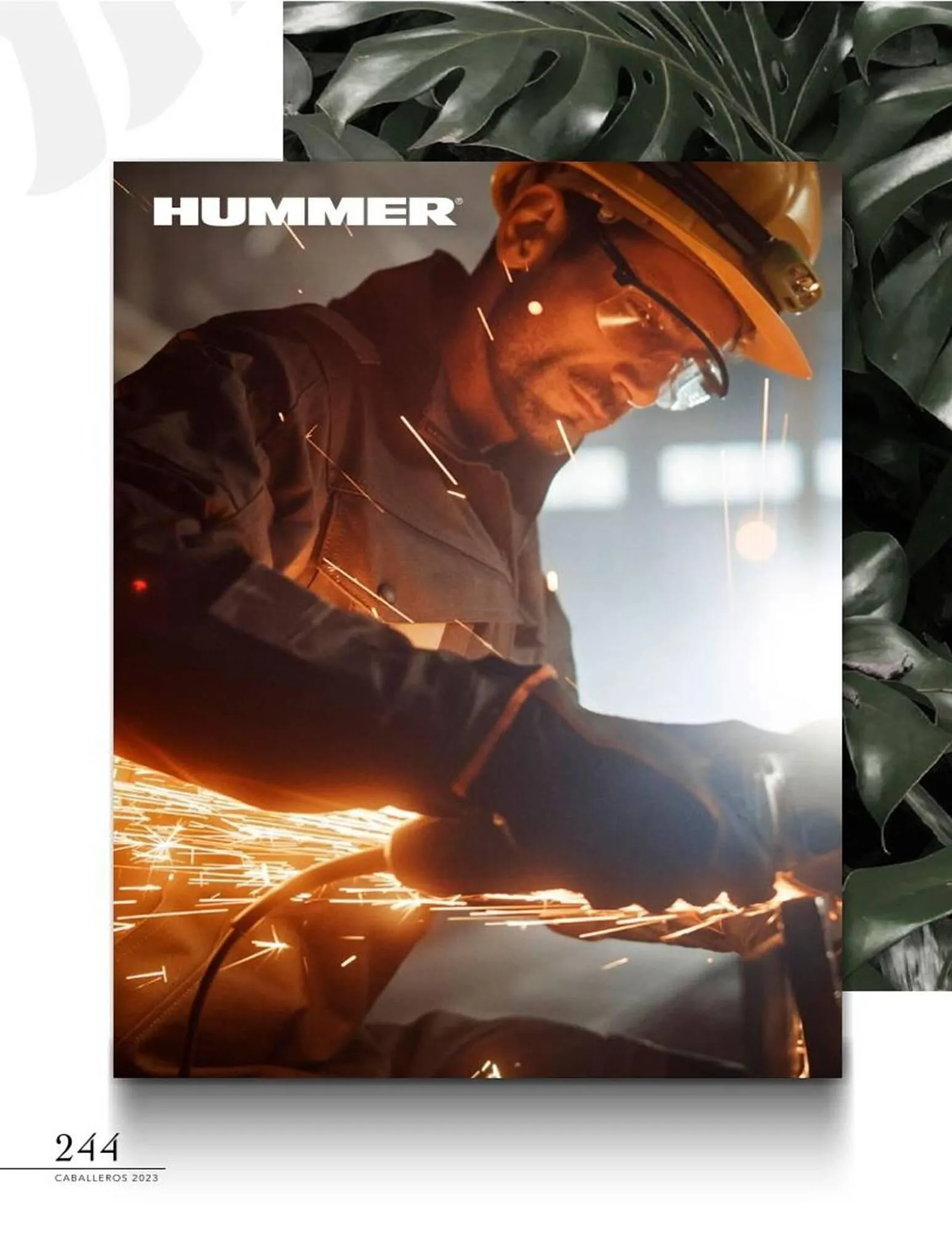 Catálogo de Catálogo Price Shoes 18 de diciembre al 31 de diciembre 2024 - Pagina 244