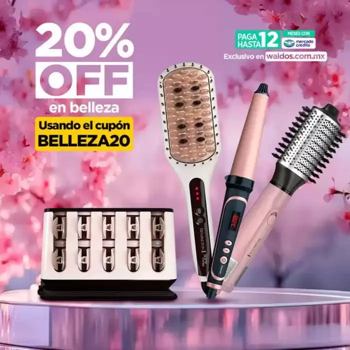 Waldos flugblatt - 1