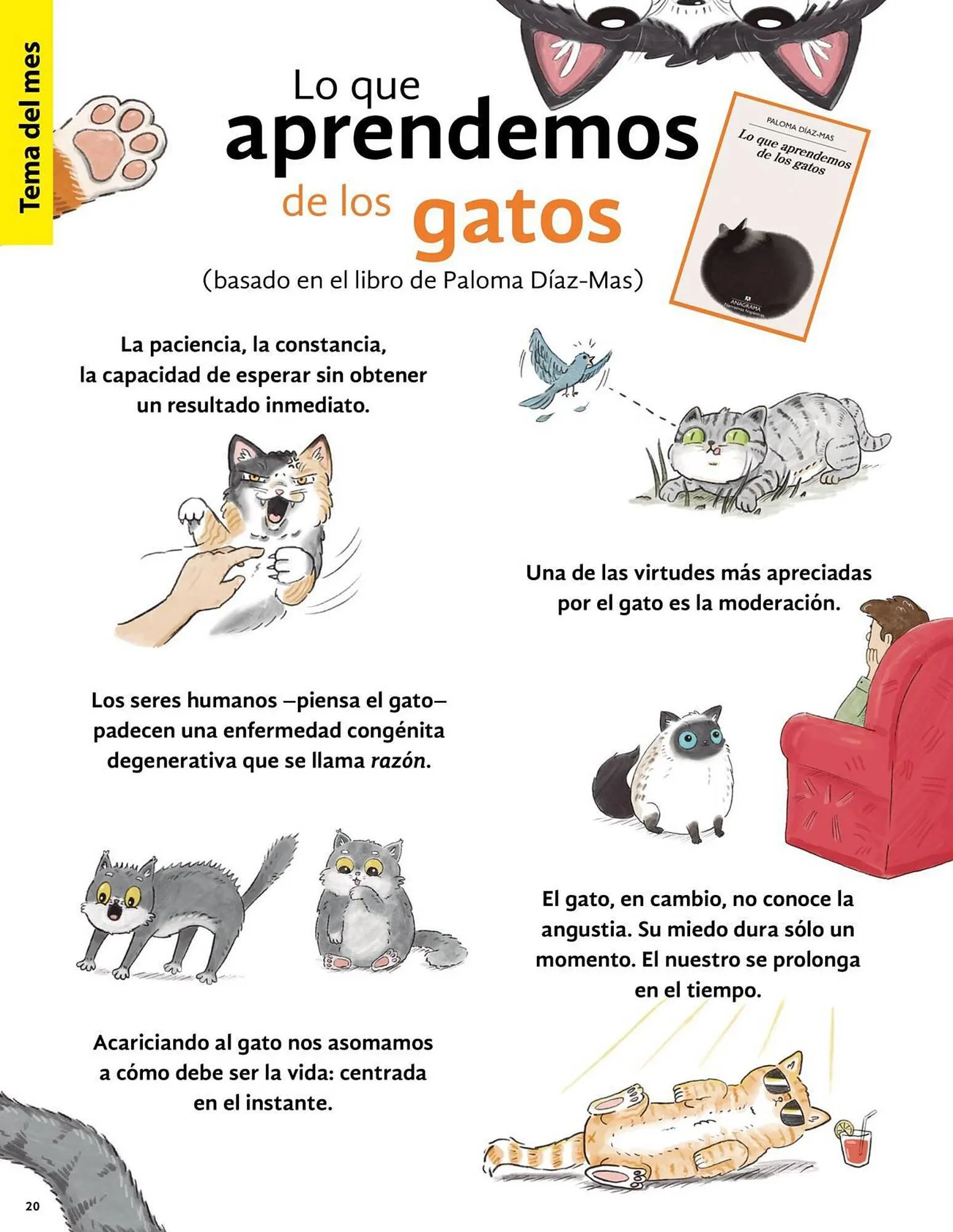 Catálogo de Catálogo Gandhi 3 de abril al 30 de abril 2024 - Pagina 20