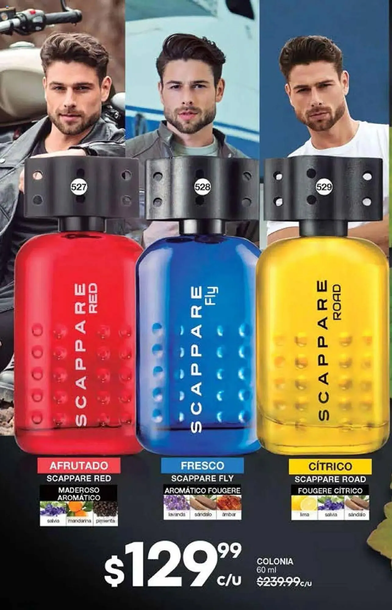 Catálogo de Catálogo Fuller 15 de octubre al 5 de noviembre 2025 - Pagina 176