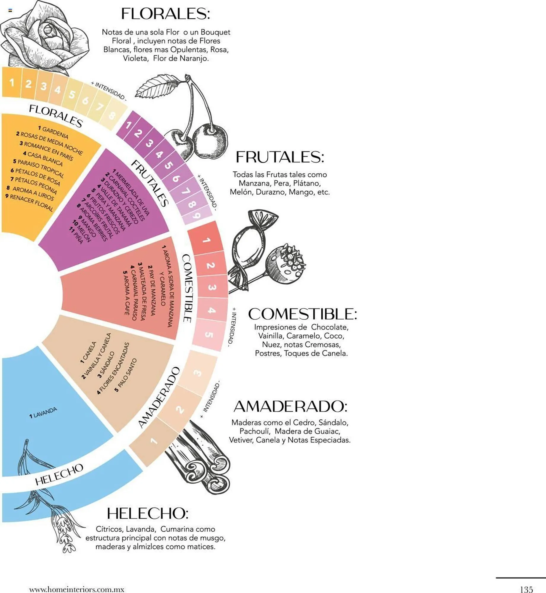 Catálogo de Catálogo Home Interiors 25 de junio al 2 de julio 2024 - Pagina 67