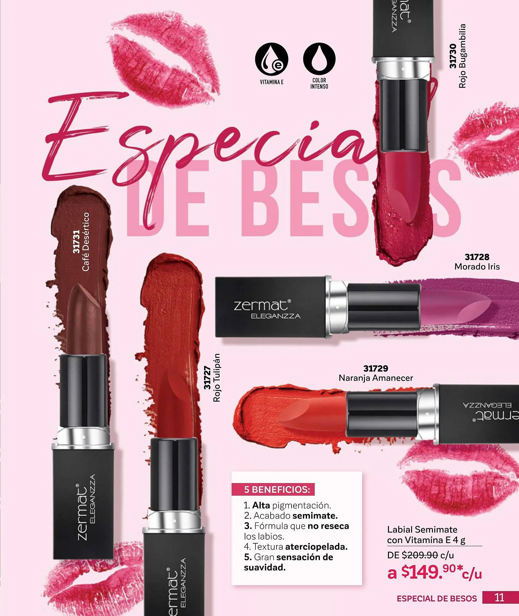 Catálogo de Catálogo Zermat 29 de enero al 28 de febrero 2025 - Pagina 11