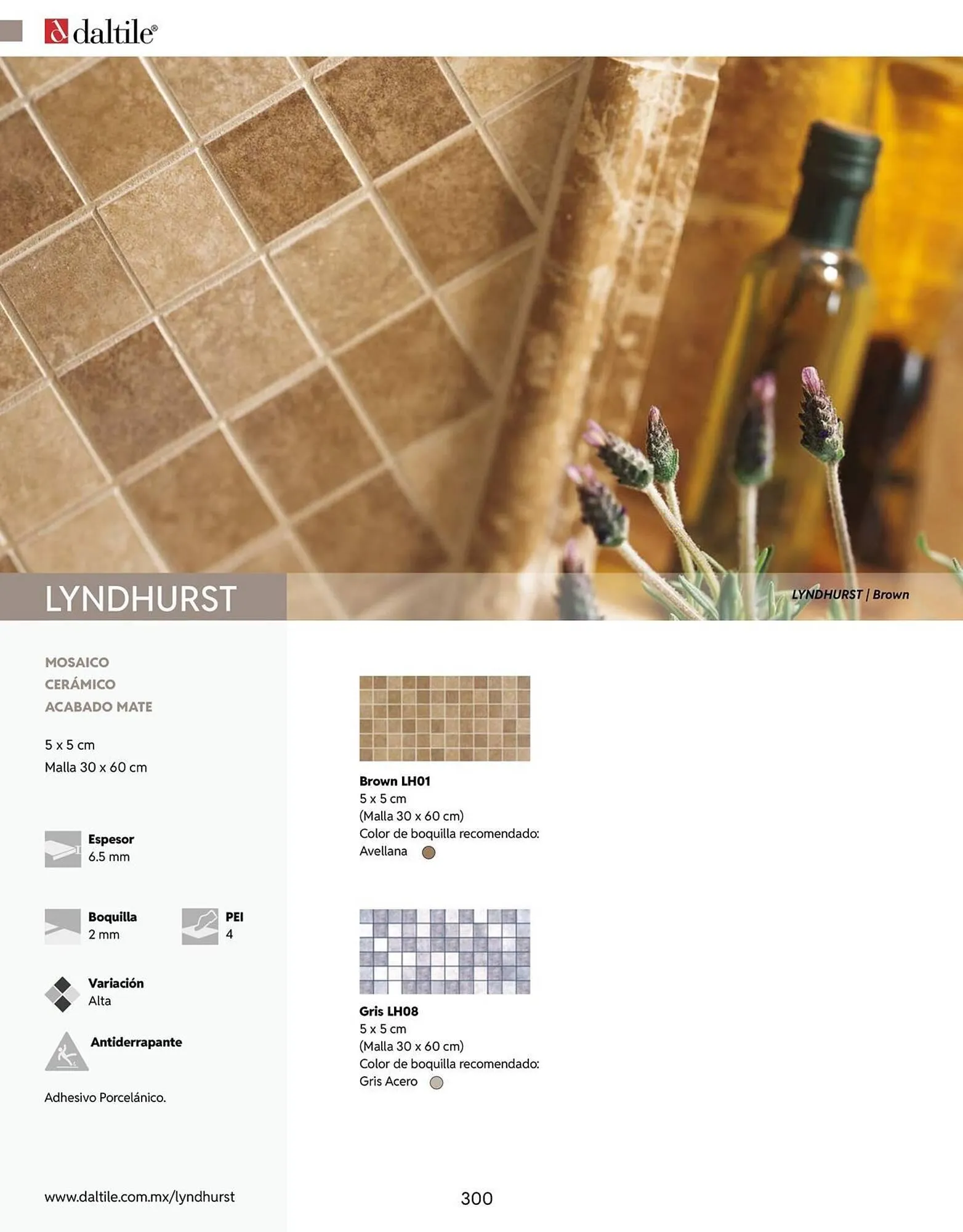 Catálogo de Catálogo Daltile 13 de enero al 31 de diciembre 2026 - Pagina 300