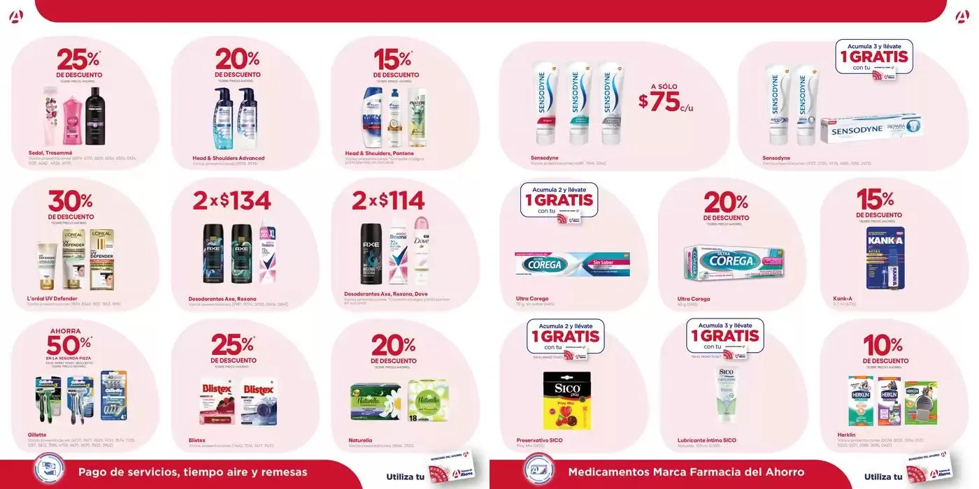 Catálogo de Folleto Enero 3 de enero al 31 de enero 2025 - Pagina 10