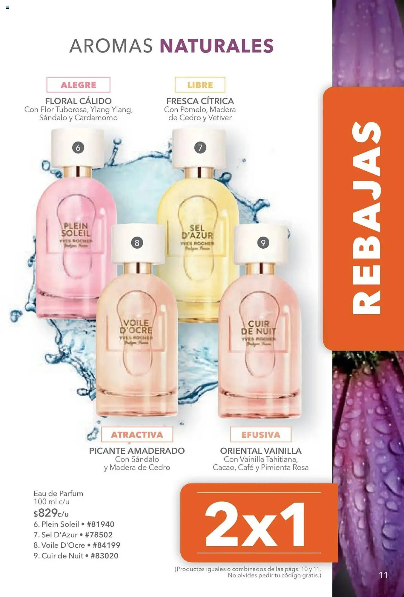 Catálogo de Catálogo Yves Rocher 24 de junio al 15 de julio 2025 - Pagina 11