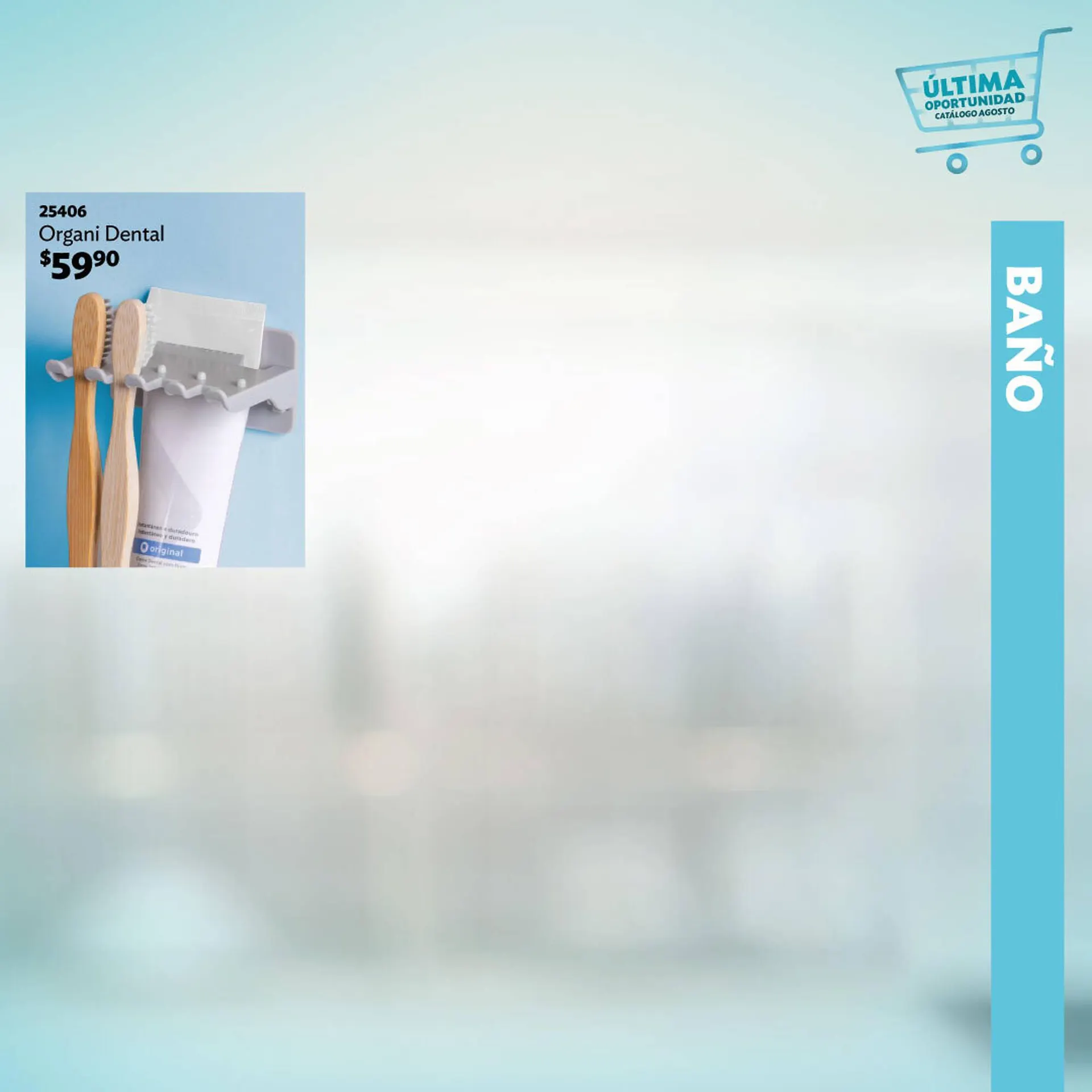 Catálogo de Catálogo BetterWare 18 de agosto al 31 de agosto 2025 - Pagina 3