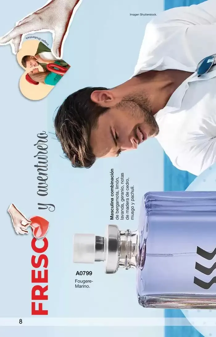 Catálogo de Arabela Campaña 03 10 de enero al 23 de enero 2025 - Pagina 8