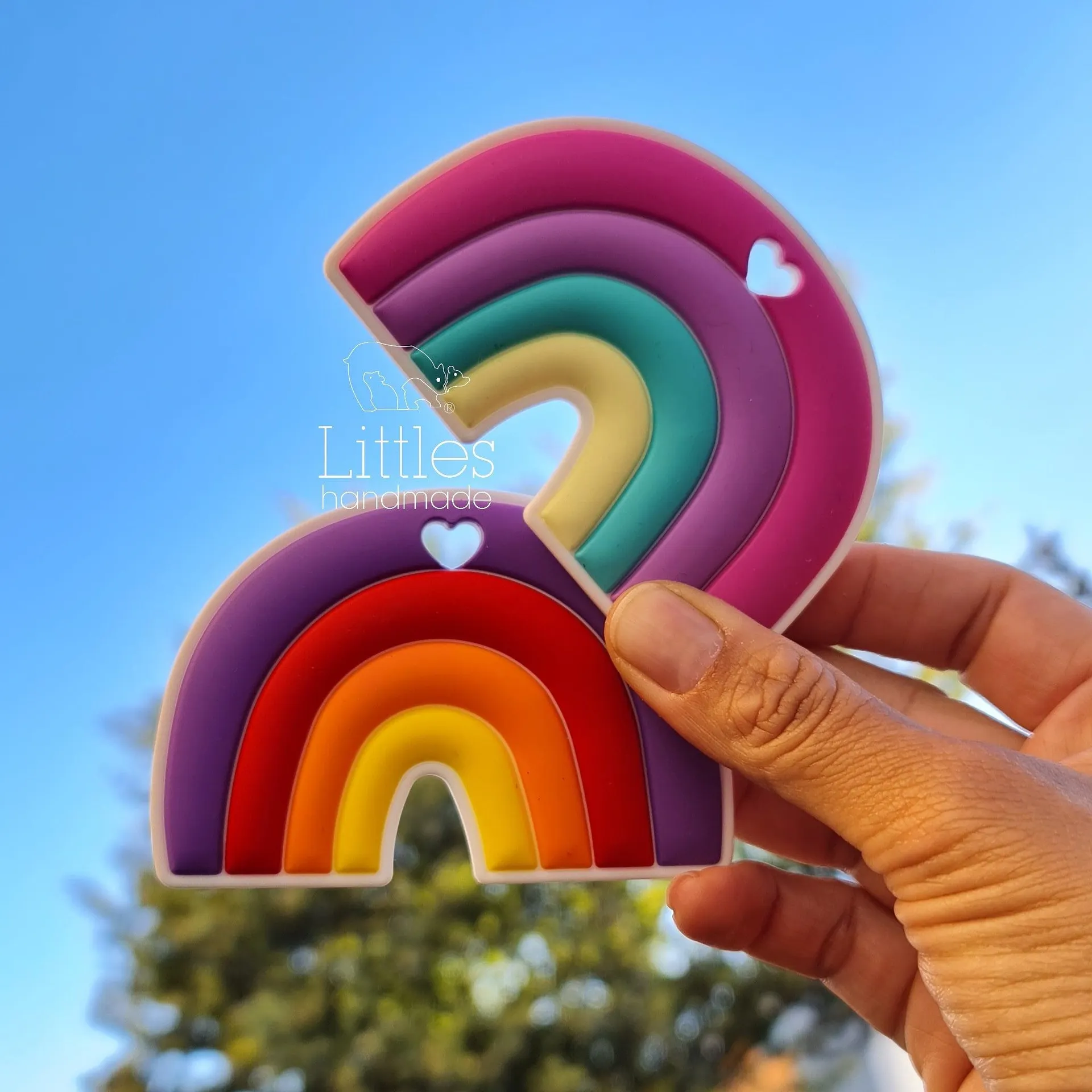 Mordedera arcoiris 2