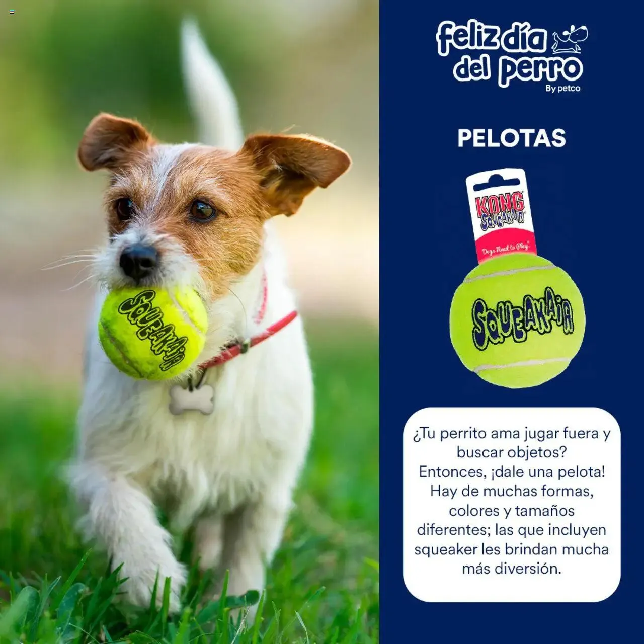 Catálogo de PetCo catálogo 7 de julio al 31 de diciembre 2024 - Pagina 5