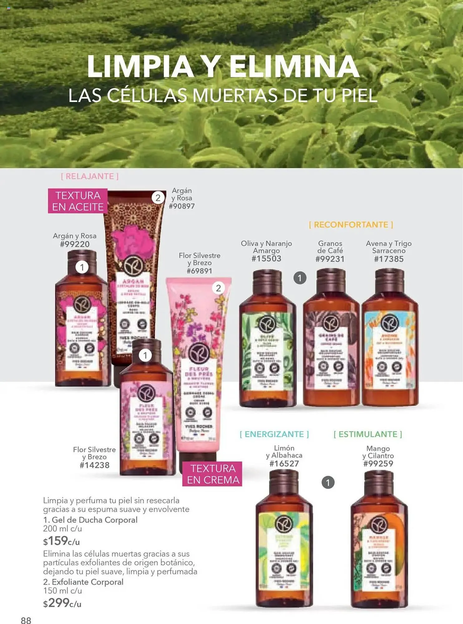 Catálogo de Catálogo Yves Rocher 18 de septiembre al 7 de octubre 2025 - Pagina 90