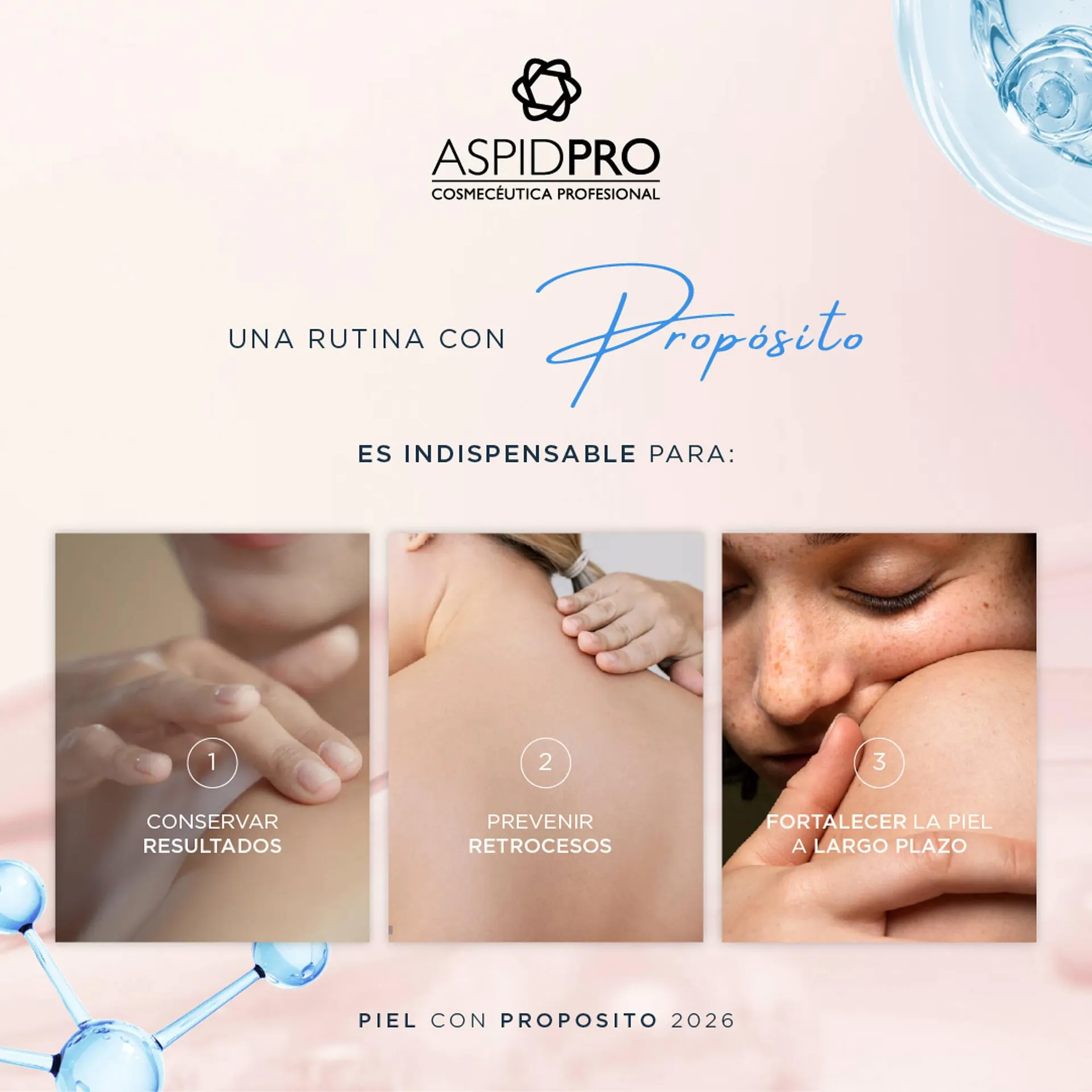 Catálogo de Catálogo AspidPro 15 de enero al 31 de enero 2026 - Pagina 3