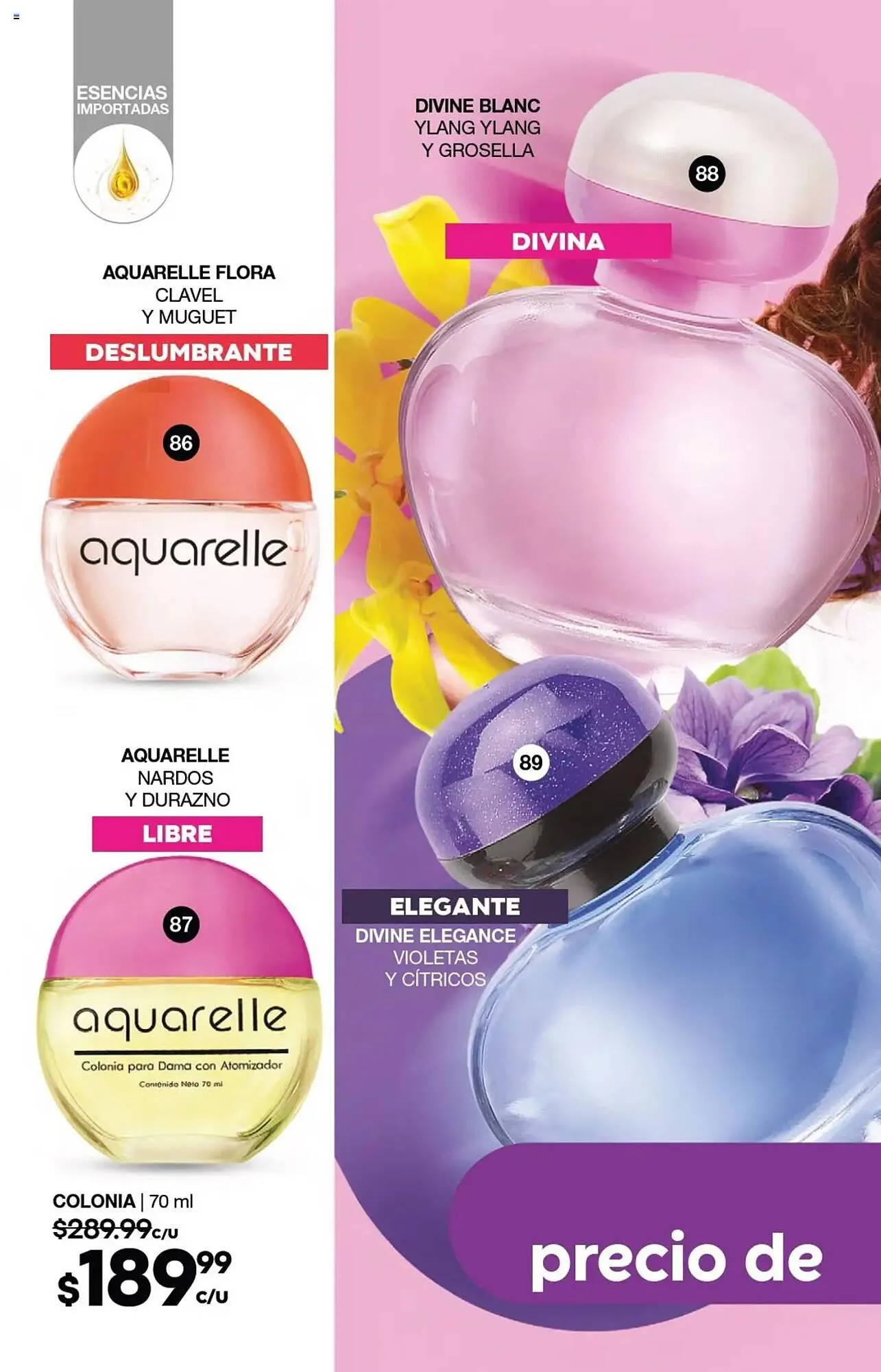 Catálogo de Catálogo Fuller 30 de abril al 20 de mayo 2025 - Pagina 40