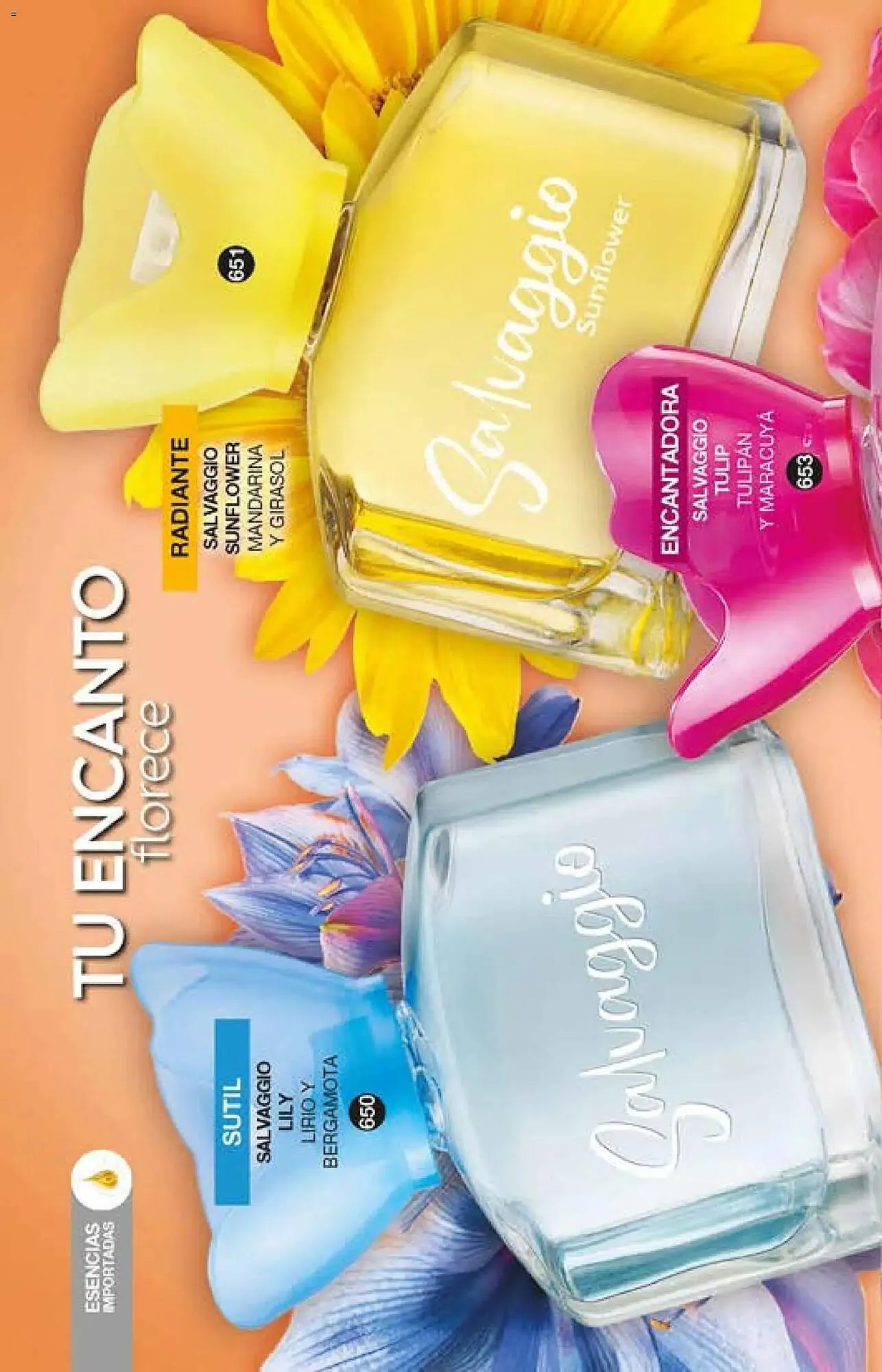 Catálogo de Catálogo Fuller 29 de octubre al 30 de noviembre 2025 - Pagina 216