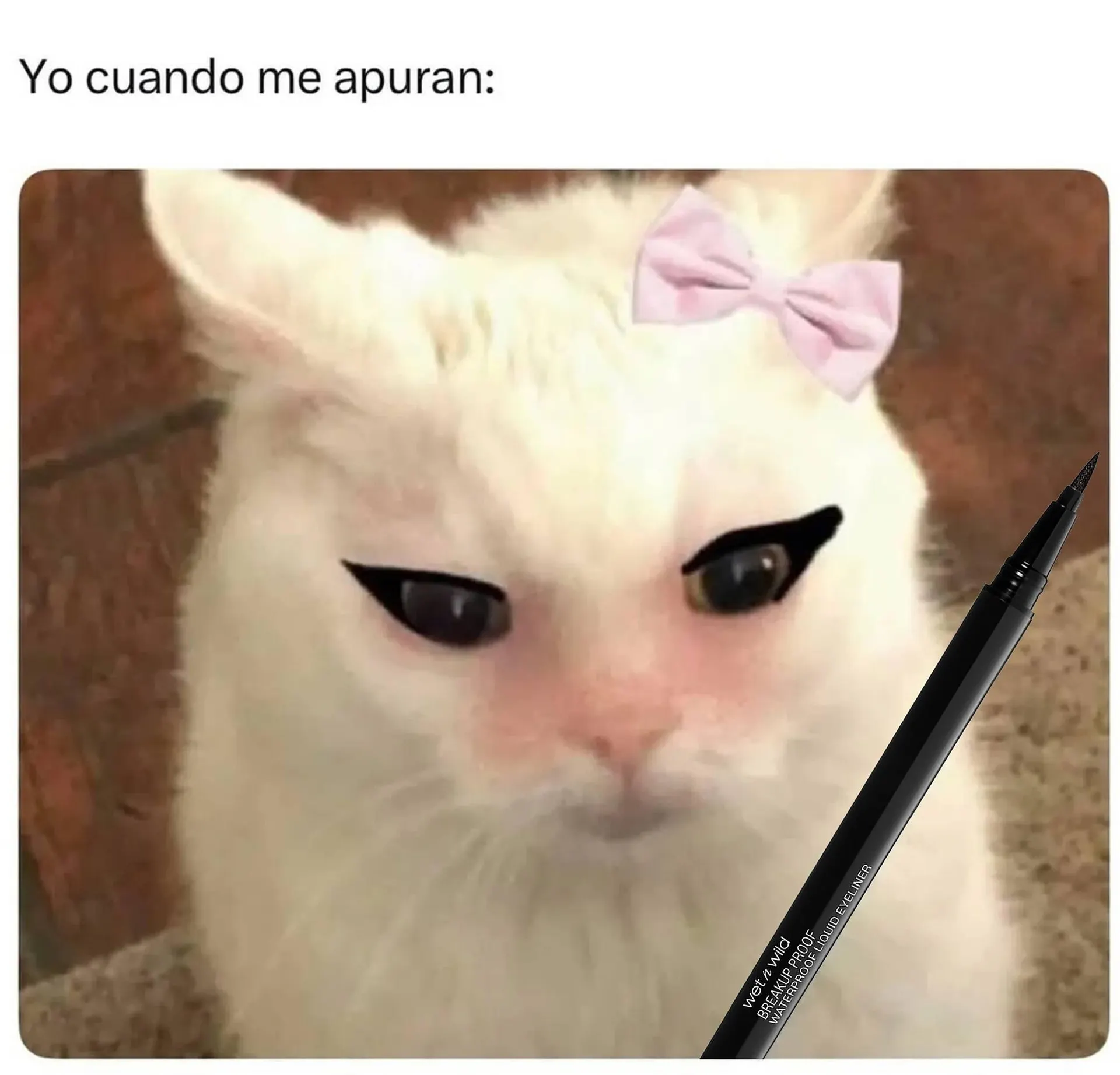 Catálogo Sally Beauty - 1