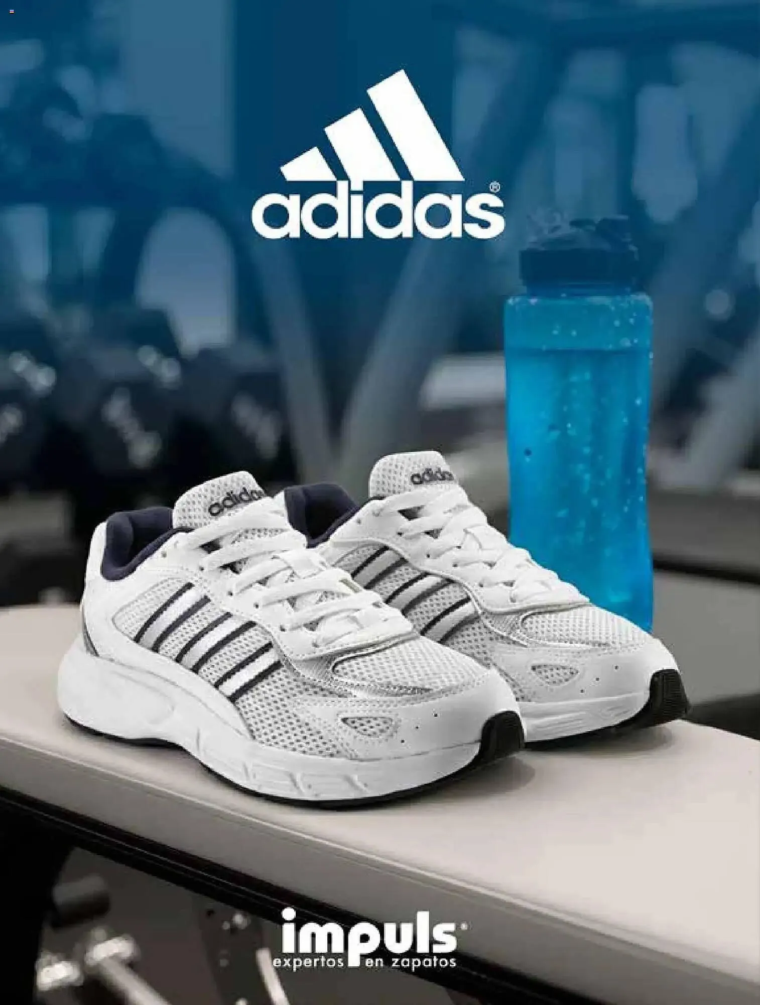 Catálogo de Catálogo Impuls 1 de enero al 1 de junio 2026 - Pagina 260