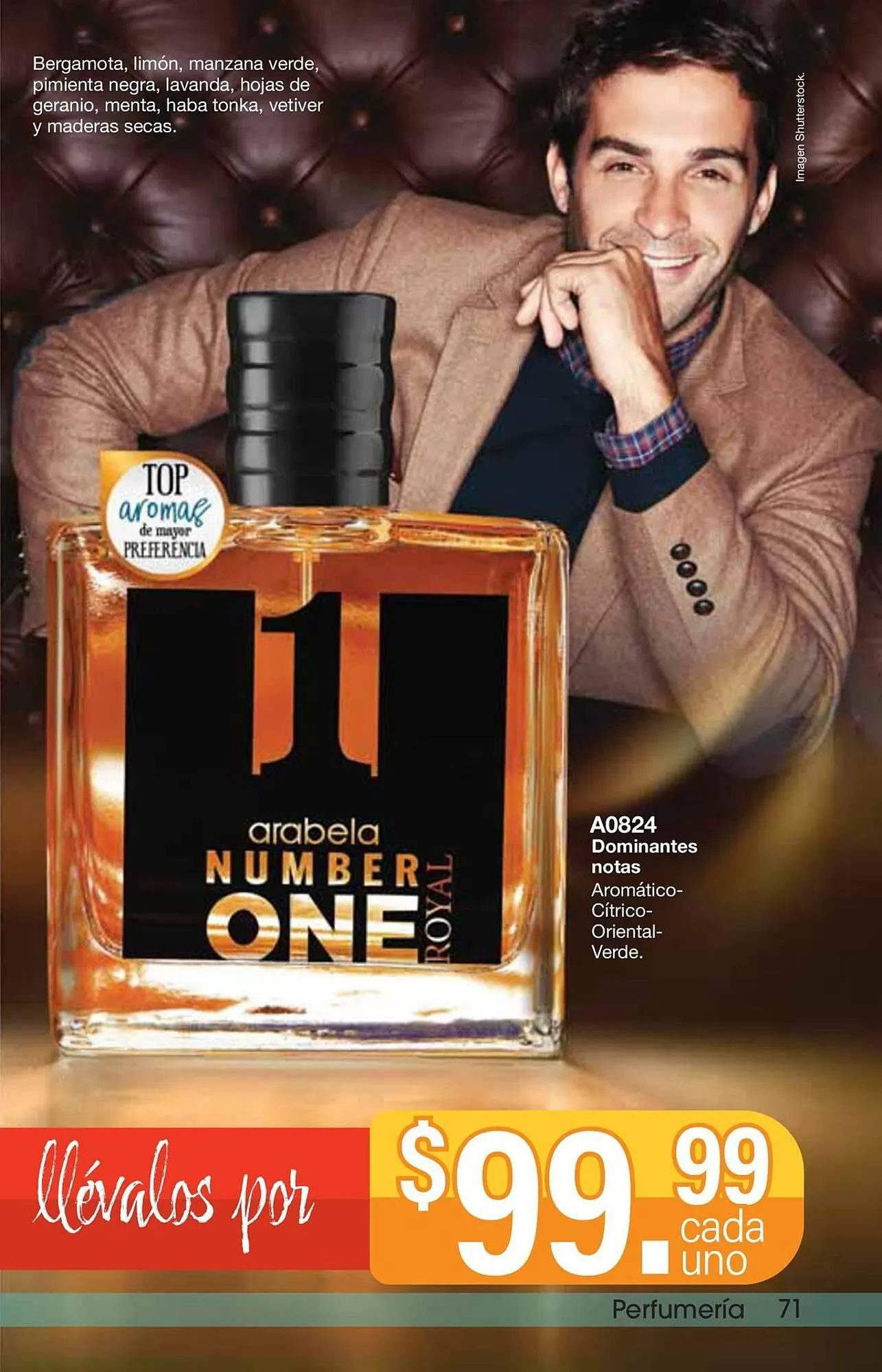 Catálogo de Catálogo Arabela 9 de julio al 24 de julio 2025 - Pagina 73