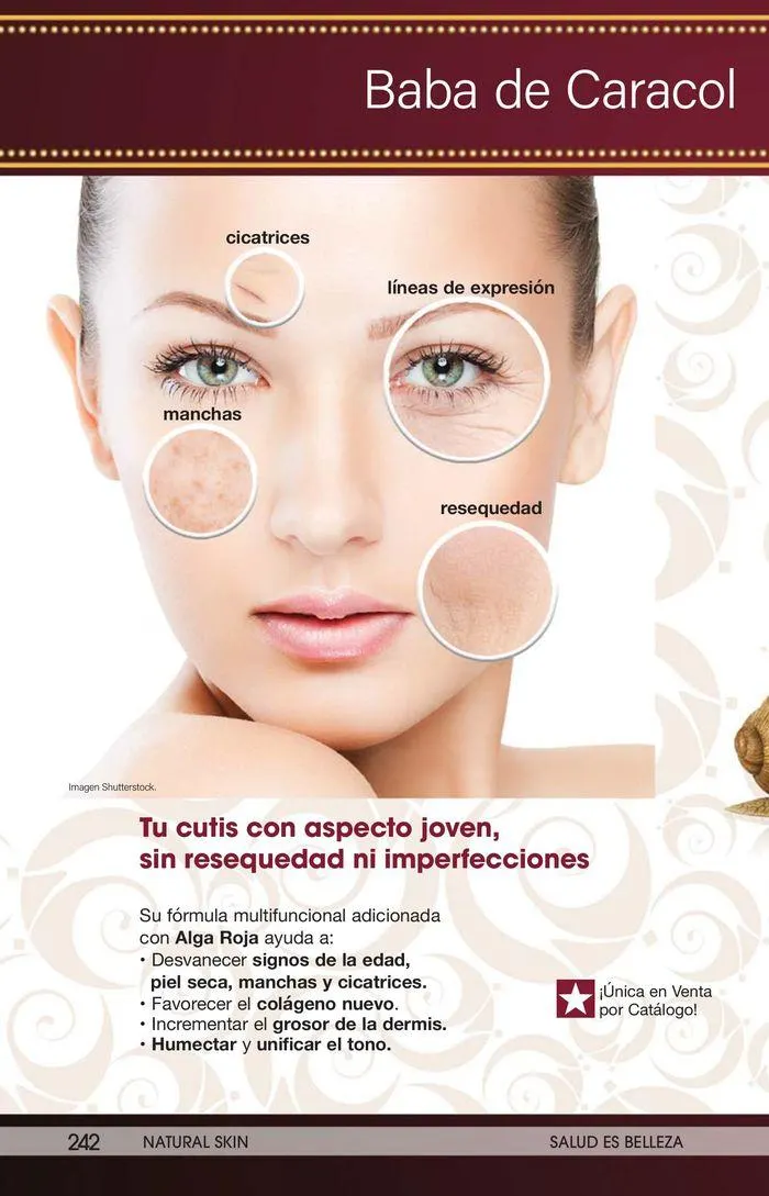 Catálogo de Arabela Campaña 20 29 de agosto al 19 de septiembre 2024 - Pagina 210