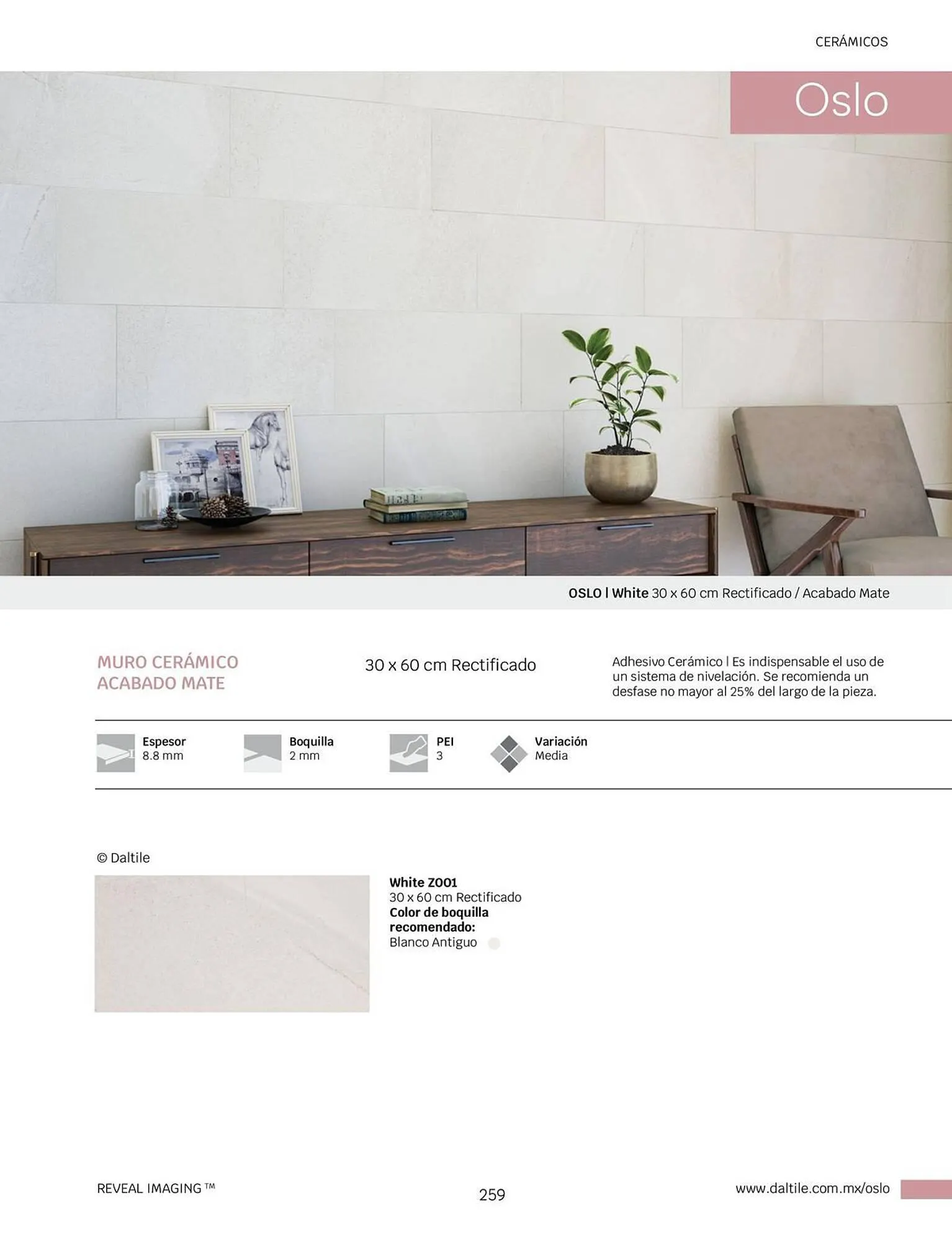 Catálogo de Catálogo Daltile 1 de enero al 31 de diciembre 2024 - Pagina 259