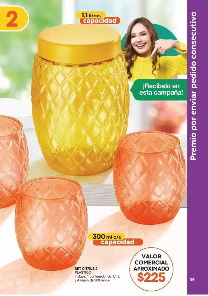 Catálogo de Fuller Revista Gana Más C01 1 de abril al 30 de abril 2025 - Pagina 33