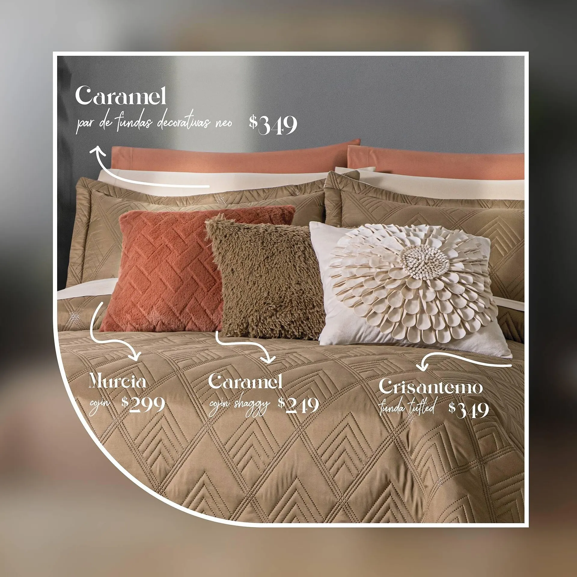 Catálogo de Catálogo Colchas Concord 22 de mayo al 22 de mayo 2025 - Pagina 3