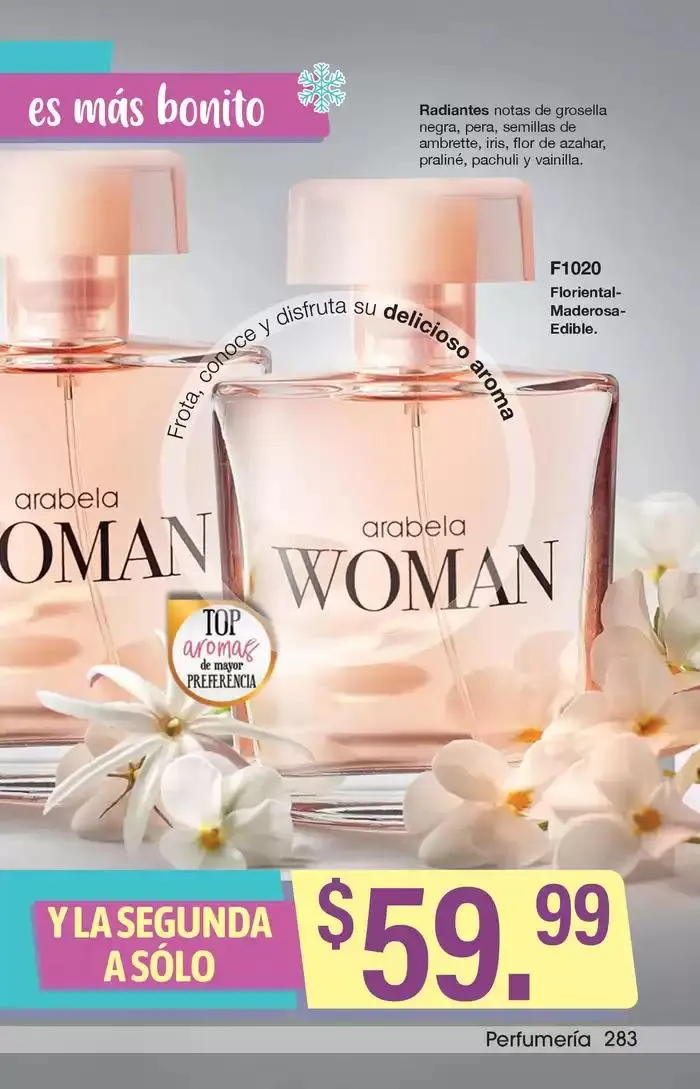 Catálogo de Arabela Campaña 01 4 de diciembre al 26 de diciembre 2024 - Pagina 253