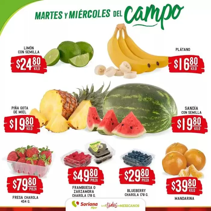 Catálogo de Martes y Miércoles del Campo Híper 24 de diciembre al 26 de diciembre 2024 - Pagina 2