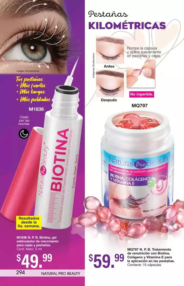 Catálogo de Arabela Campaña 03 10 de enero al 23 de enero 2025 - Pagina 260