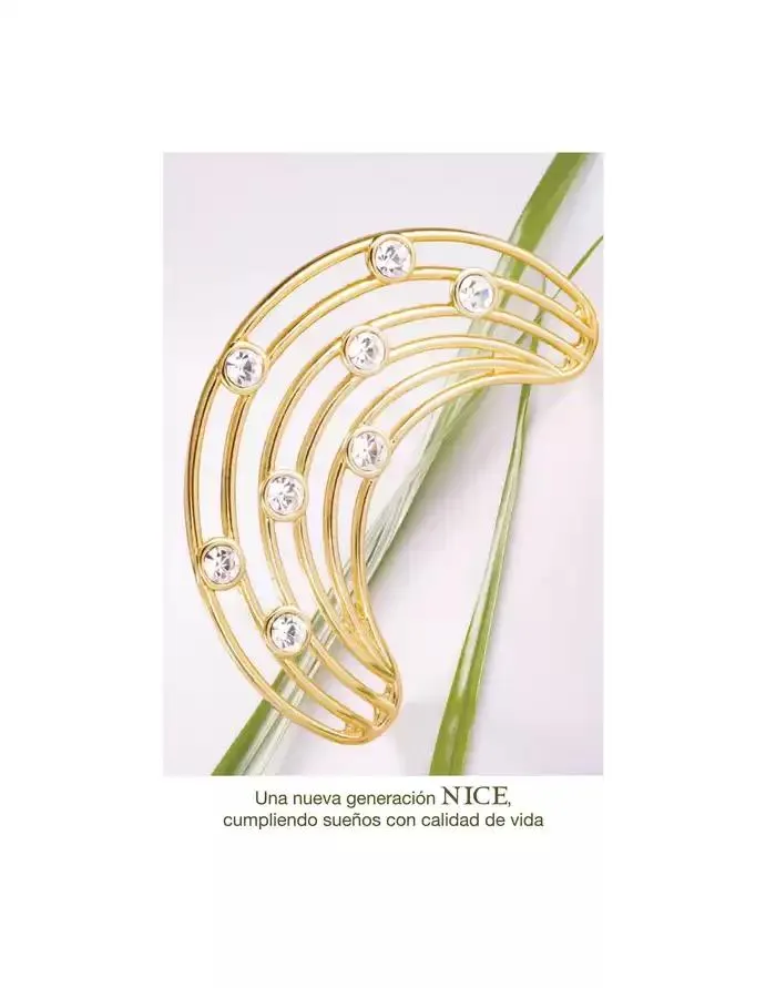 Catálogo de NICE 324Coleccion 21 de mayo al 31 de diciembre 2025 - Pagina 2