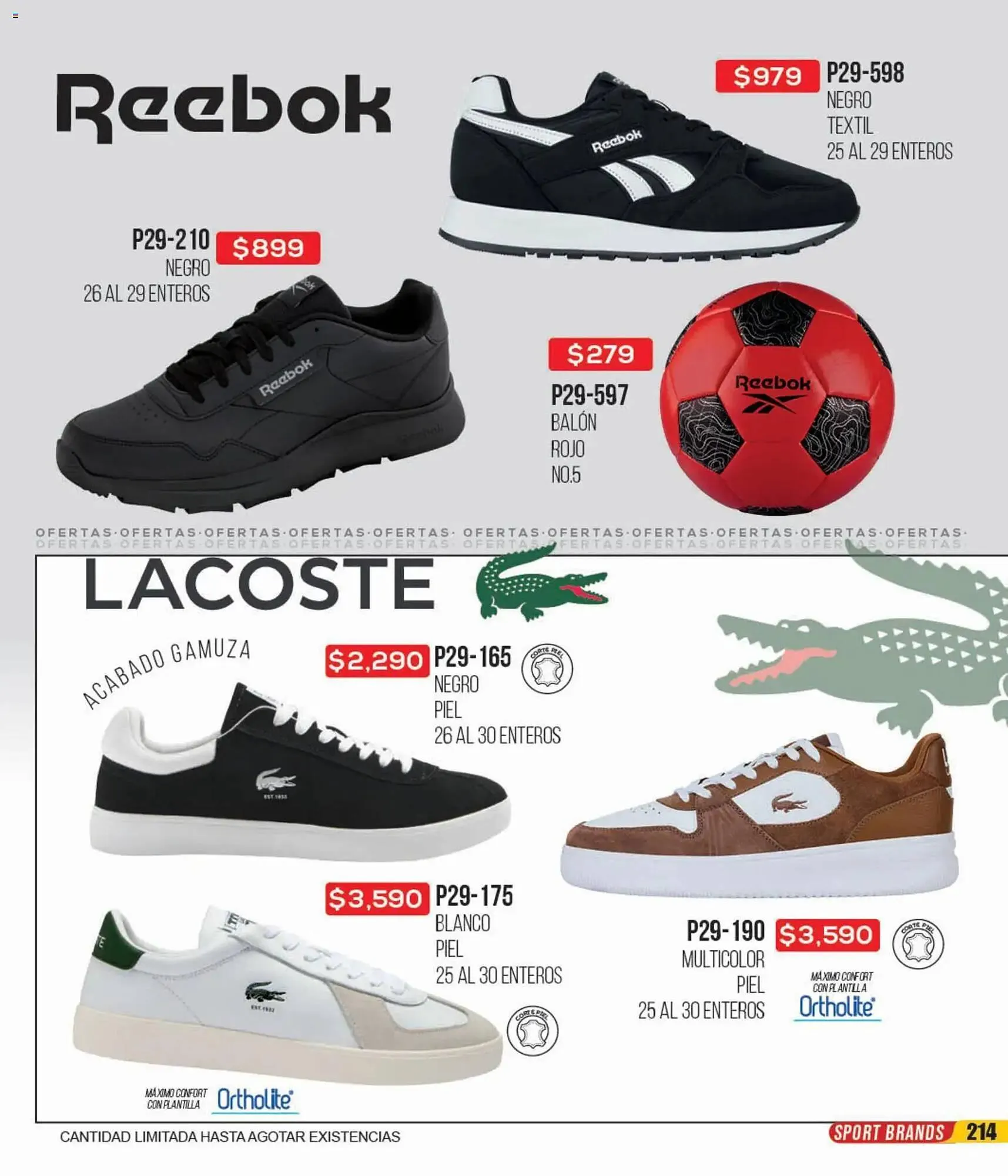 Catálogo de Catálogo Cklass 12 de enero al 1 de mayo 2026 - Pagina 378