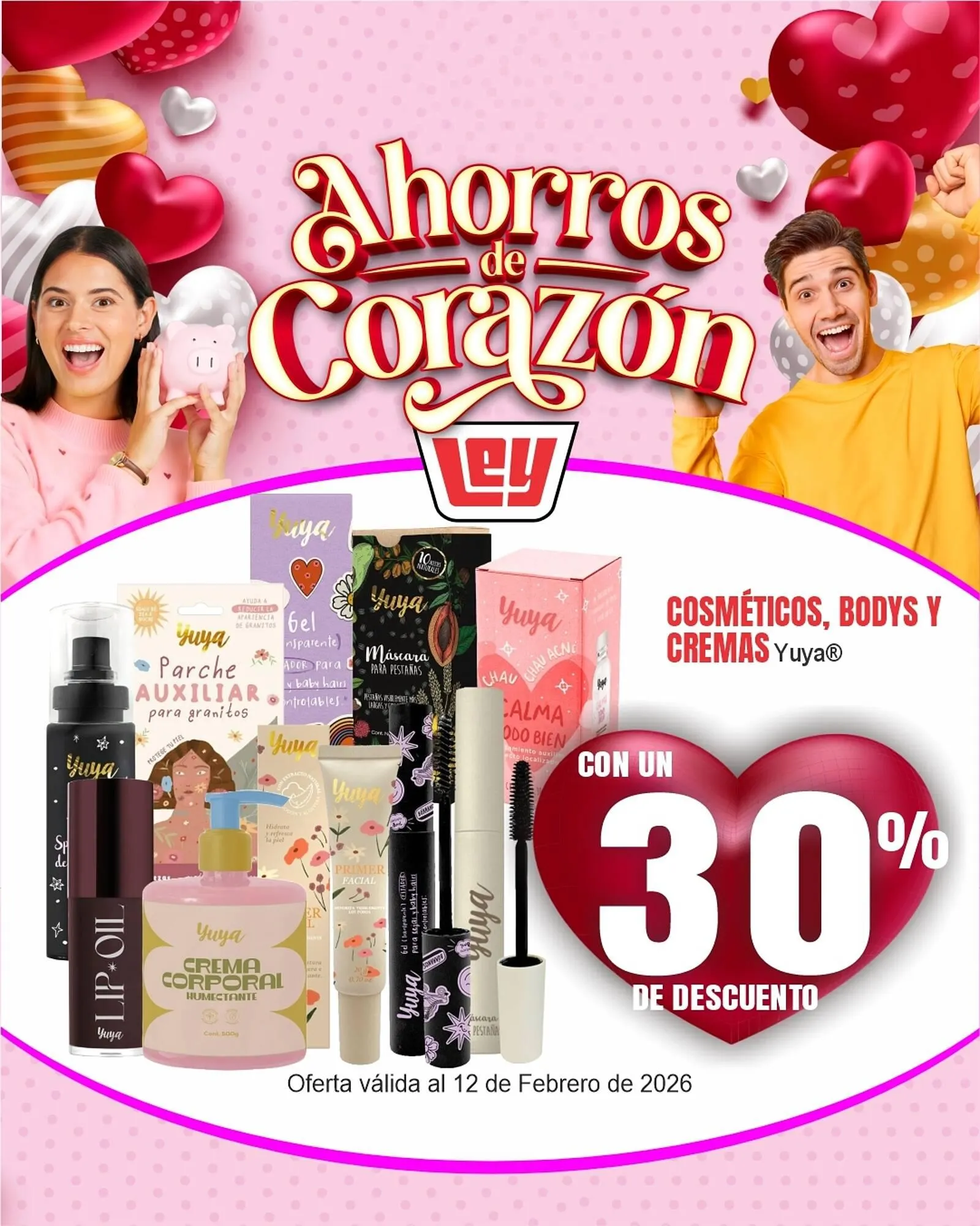 Folleto Casa Ley - 1