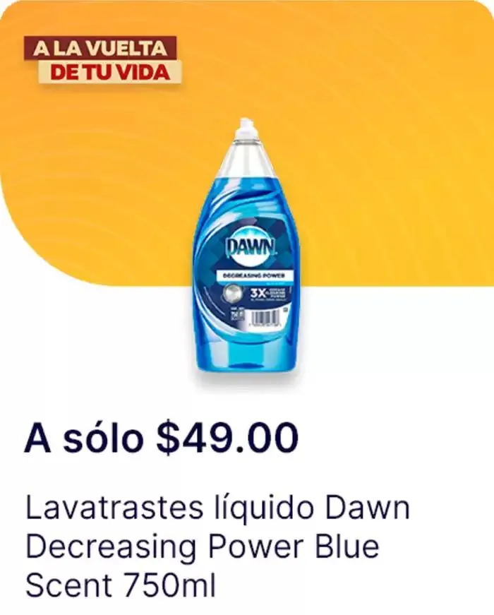 Catálogo de Ofertas principales para todos los cazadores de gangas 11 de diciembre al 25 de diciembre 2024 - Pagina 113