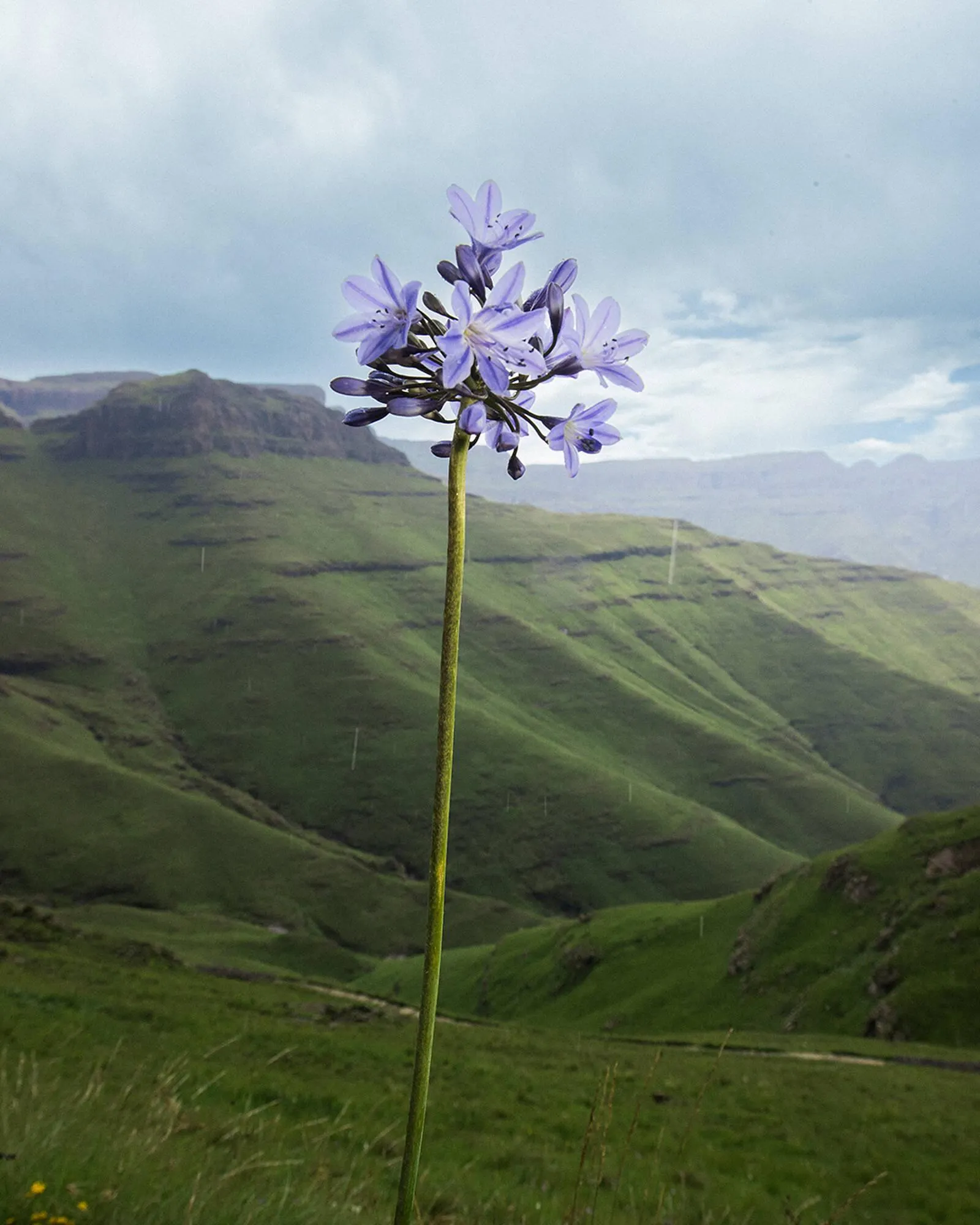 Catálogo de Catálogo The North Face 9 de junio al 30 de junio 2025 - Pagina 4