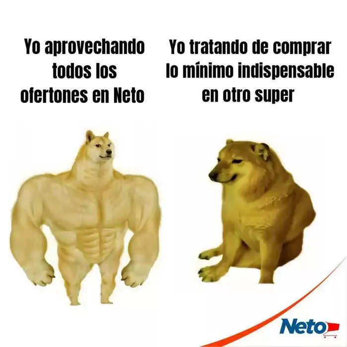 Catálogo de Gran variedad de ofertas 11 de febrero al 28 de febrero 2025 - Pagina 5