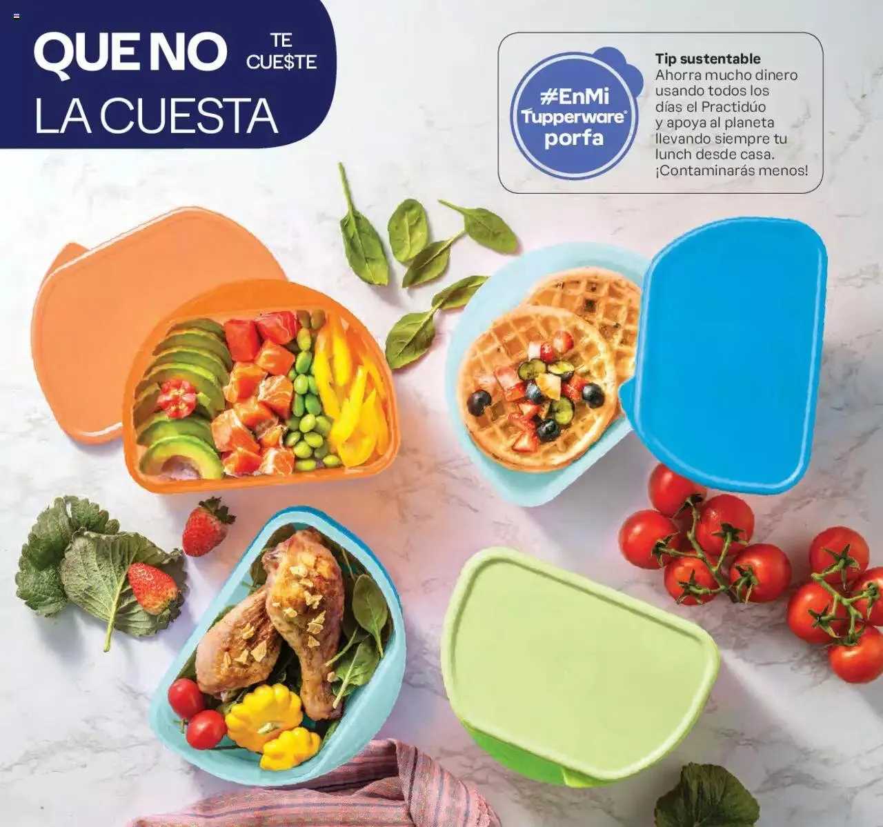 Catálogo de Tupperware catálogo 1 de enero al 21 de enero 2024 - Pagina 12