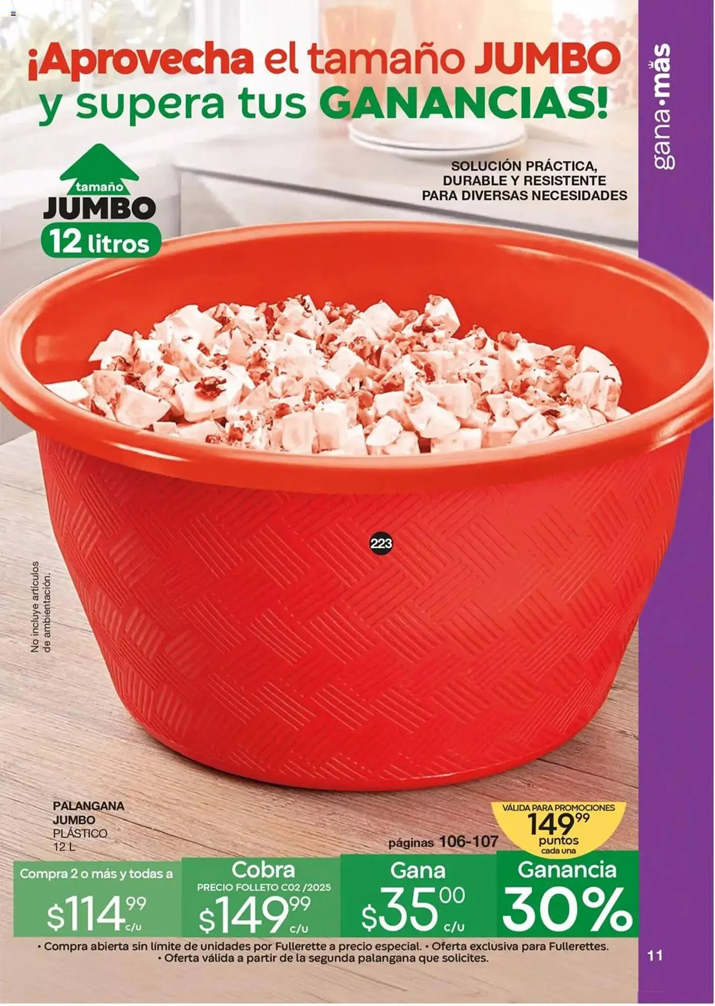 Catálogo de Catálogo Fuller 30 de abril al 20 de mayo 2025 - Pagina 11