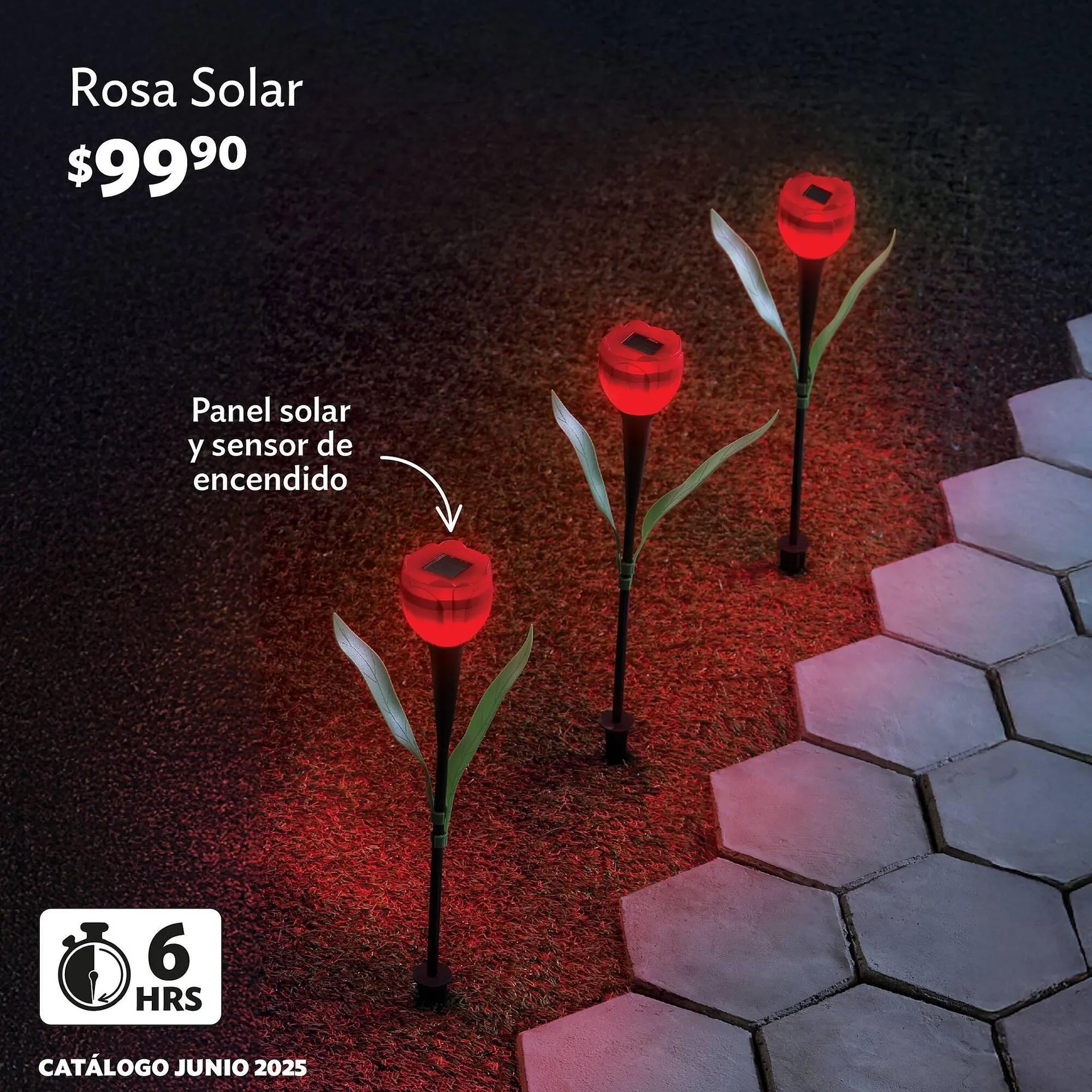 Catálogo de Catálogo BetterWare 10 de junio al 30 de junio 2025 - Pagina 4